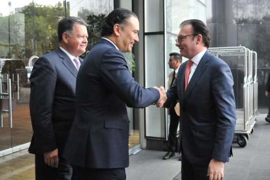 videgaray concamin