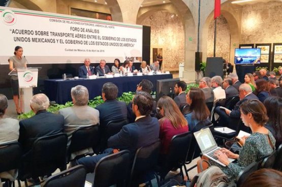 alejandra palacios cofece