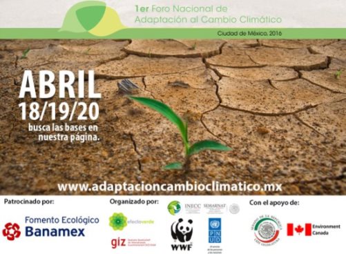 cambio climatico senado
