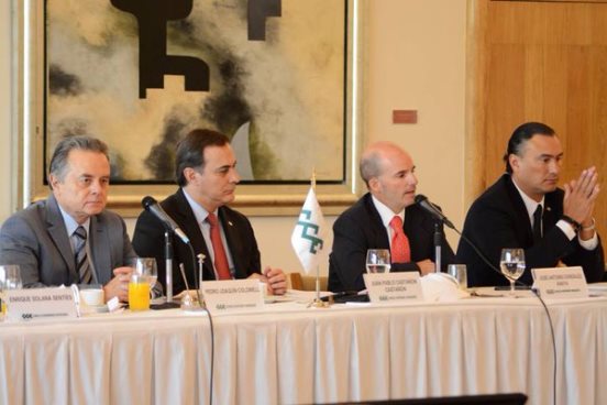 castañon glez anaya