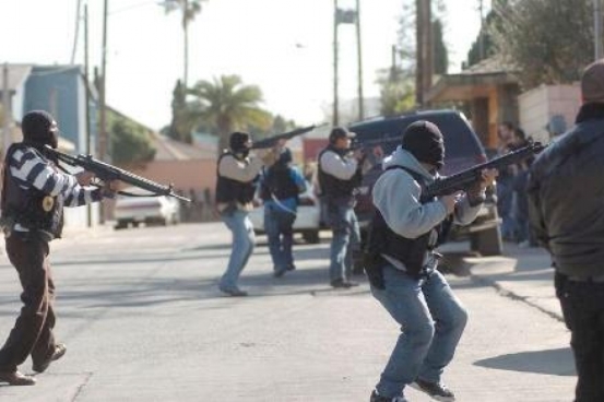 delincuencia organizada