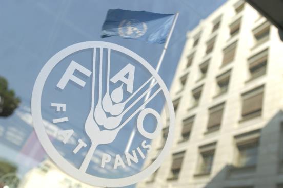 28 July 2006, Rome - A general view of FAO Headquarters.