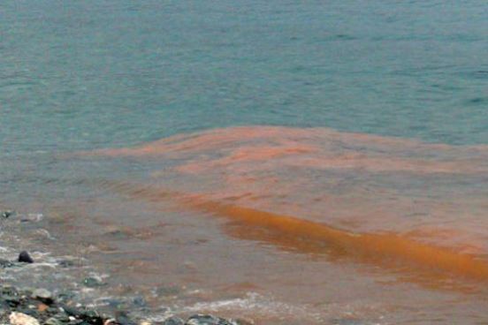 marea roja