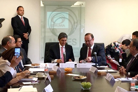 CONSEJO NACIONAL DE LA ANUIES.