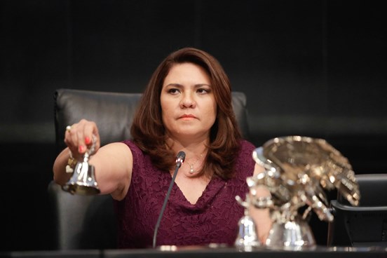 Rosa Adriana Díaz Lizama