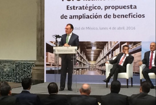 videgaray 4
