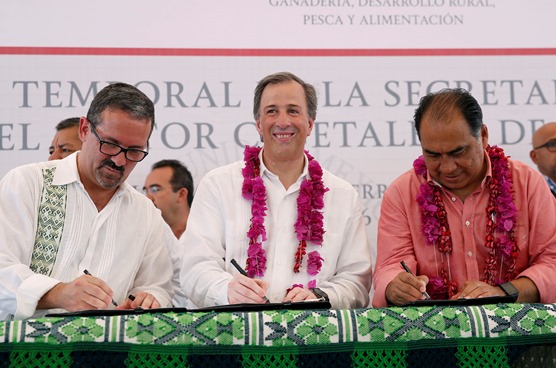 APOYO A CAFETICULTORES