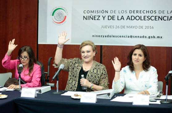 niñez senado 26 5