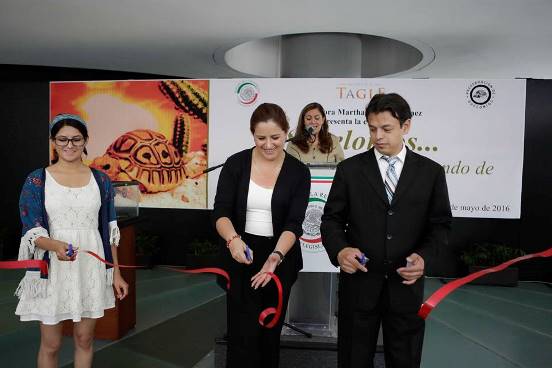 quelonio senado 23 5