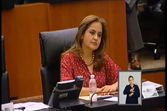 ana lilia licencia.jpg