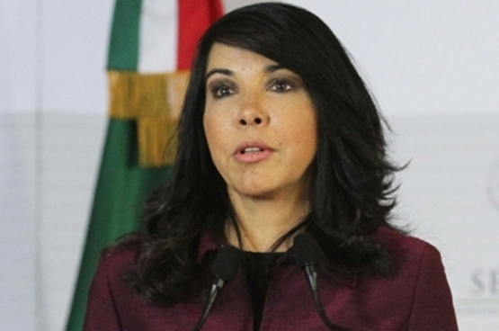 María de los Ángeles Fromow Rangel