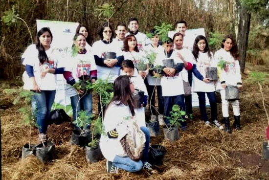 Reforestación  (1)