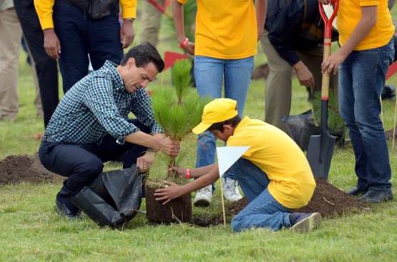 epn reforestacion