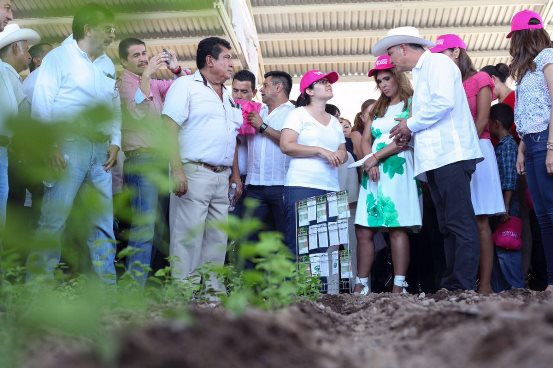 pepe calzada pavlovich