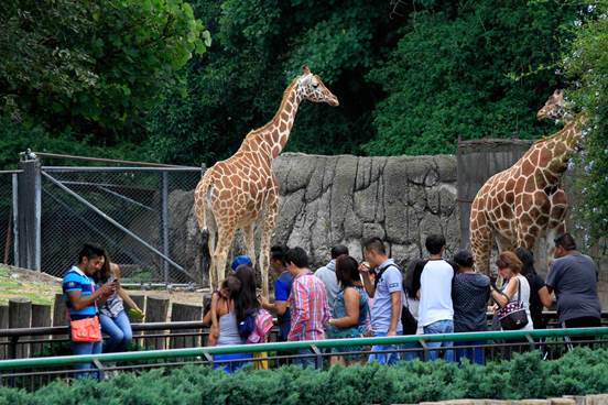 ZOOLÓGICO DE CHAPULTEPEC CUMPLE 92 AÑOS