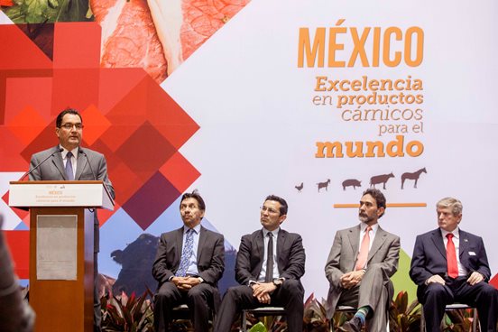 160828 MLS FGT DIRECTORIO CARNE-9