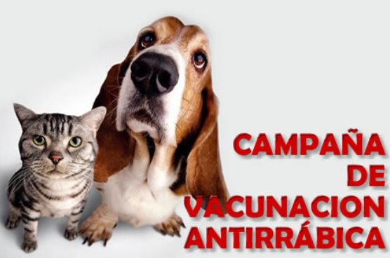 vacunacion-antirrabica
