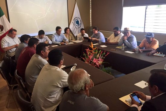 camapa-en-oaxaca-4-10