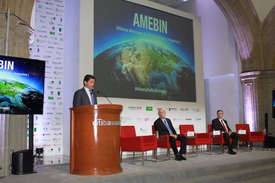 cuauhtemoc-ochoa-17-10