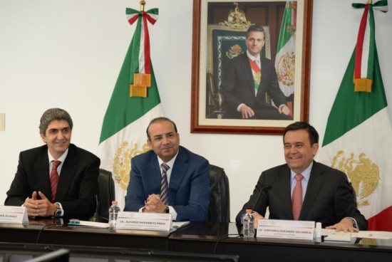 guajardo nemer np.jpg