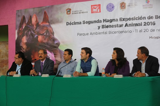 Magna Exposición de Belleza Canina (1).jpg