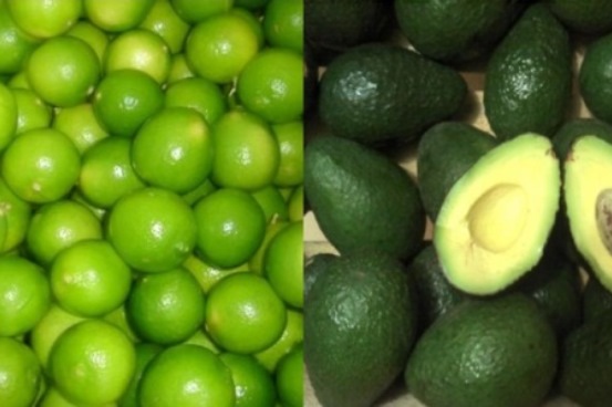 limon-aguacate