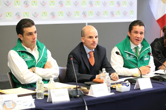 plenaria-partido-verde